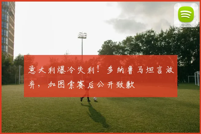 意大利爆冷失利！多纳鲁马坦言放弃，加图索赛后公开致歉