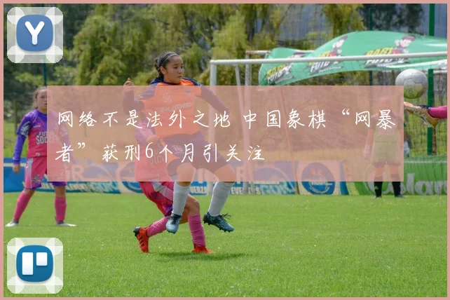 网络不是法外之地 中国象棋“网暴者”获刑6个月引关注