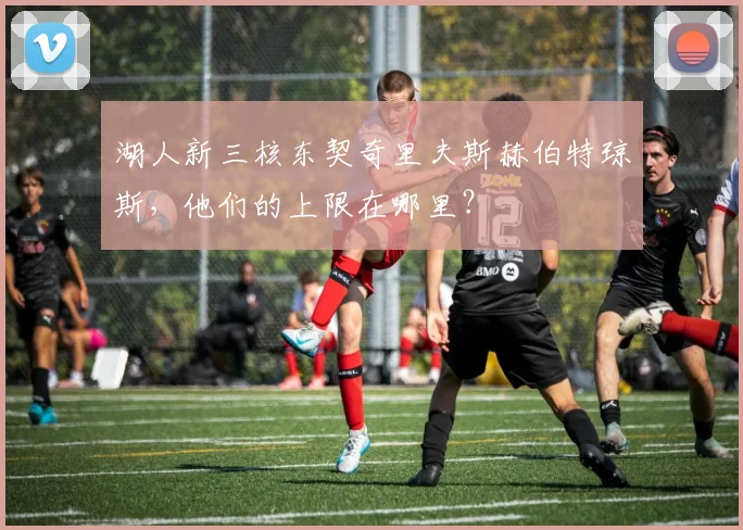 湖人新三核东契奇里夫斯赫伯特琼斯,他们的上限在哪里?